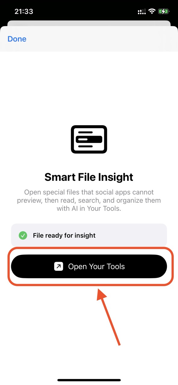 Smart File Insight opens the imported file for reading