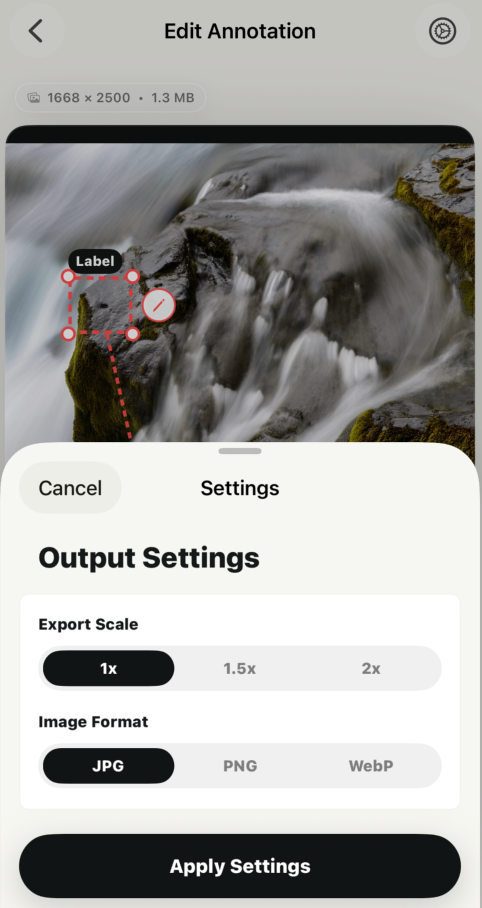 Configure annotation image output scale and format