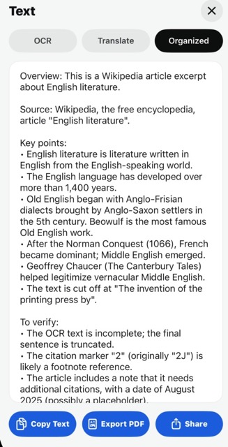 OCR, translation, and organized text result panel