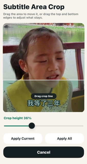 Adjust subtitle crop area with drag handles